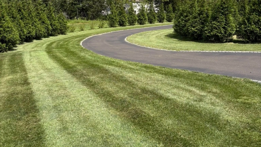 Lawn & Landscaping Maintenance Lawn & Landscaping Maintenance