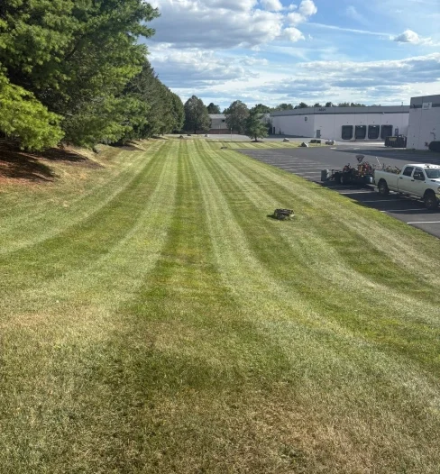 Oasis Land Management Projects 24